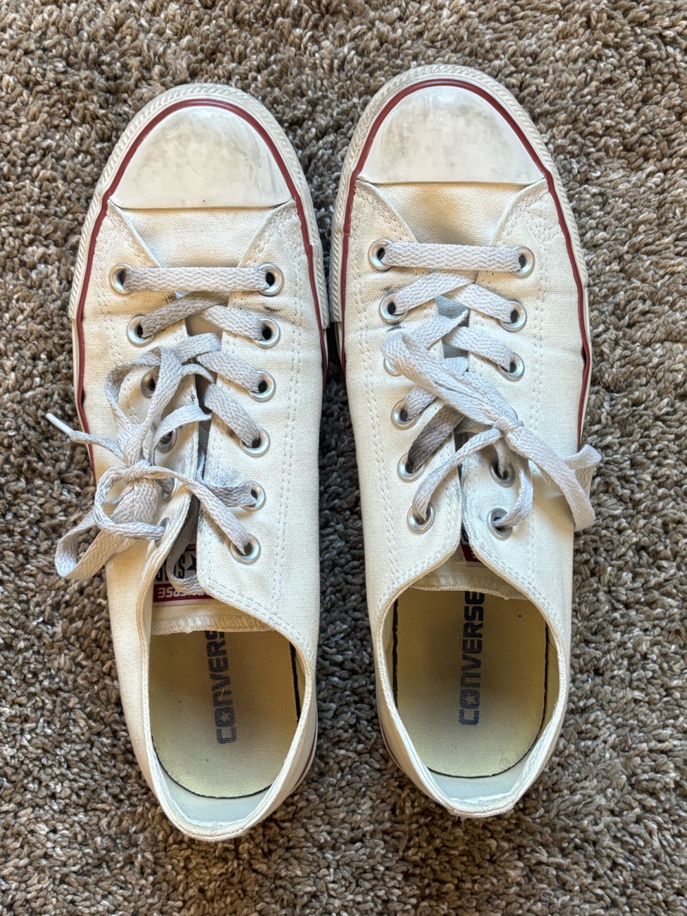Converse White Low-Top Sneakers